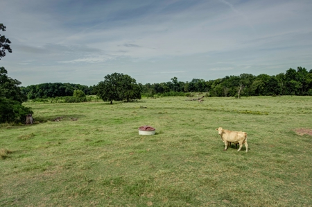 Land for Sale in Madison County, Midway Texas - image 5