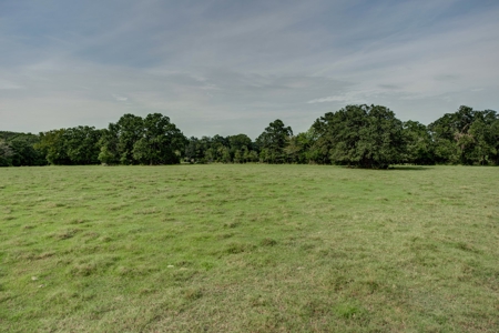 Land for Sale in Madison County, Midway Texas - image 6