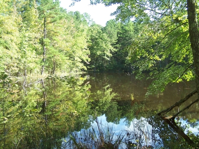 Virginia Timberland Great Hunting Area Victoria VA - image 9