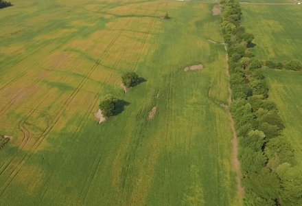 Kear 80 Acres +/- Farm Land Auction (11/8 @ 6 PM) - image 5