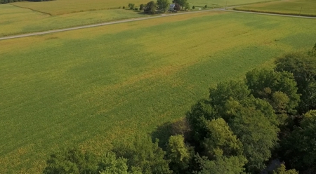 Kear 80 Acres +/- Farm Land Auction (11/8 @ 6 PM) - image 2