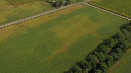 Kear 80 Acres +/- Farm Land Auction (11/8 @ 6 PM) - image 3