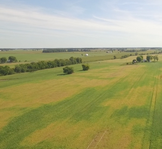 Kear 80 Acres +/- Farm Land Auction (11/8 @ 6 PM) - image 7