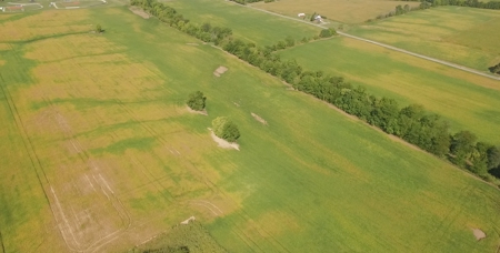 Kear 80 Acres +/- Farm Land Auction (11/8 @ 6 PM) - image 1