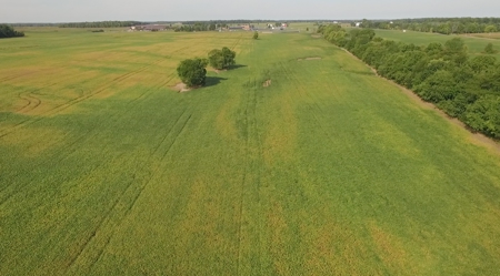 Kear 80 Acres +/- Farm Land Auction (11/8 @ 6 PM) - image 8