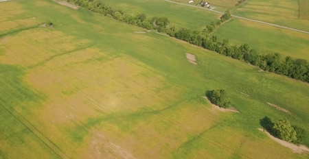 Kear 80 Acres +/- Farm Land Auction (11/8 @ 6 PM) - image 6