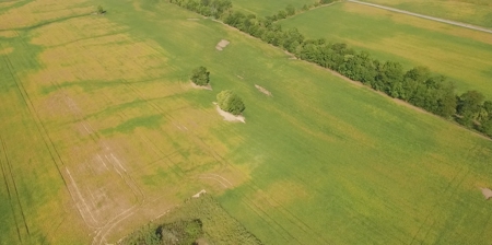 Kear 80 Acres +/- Farm Land Auction (11/8 @ 6 PM) - image 10