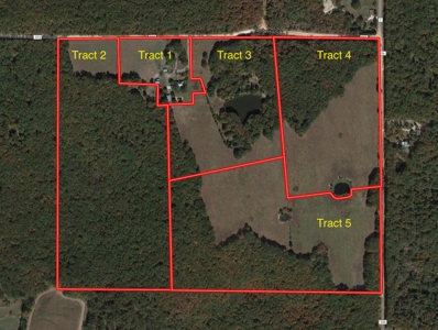 127 +/- Acres Offered in 5 Tracts  & Commercial Property - image 9