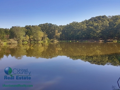 127 +/- Acres Offered in 5 Tracts  & Commercial Property - image 37