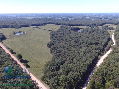 127 +/- Acres Offered in 5 Tracts  & Commercial Property - image 5