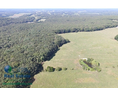 127 +/- Acres Offered in 5 Tracts  & Commercial Property - image 8