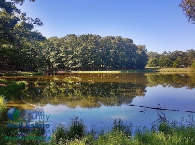 127 +/- Acres Offered in 5 Tracts  & Commercial Property - image 10
