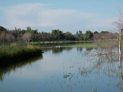 Magnificent Waterfront Development Opportunity - image 7