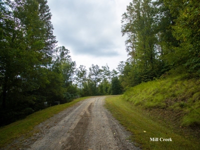 Mill Creek Village Auction - 27.276 Acres in Fancy Gap VA! - image 3