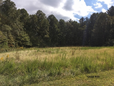 Quail Run - 12.646 Acres for Sale at Auction in Development! - image 4