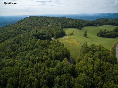 Quail Run - 12.646 Acres for Sale at Auction in Development! - image 2