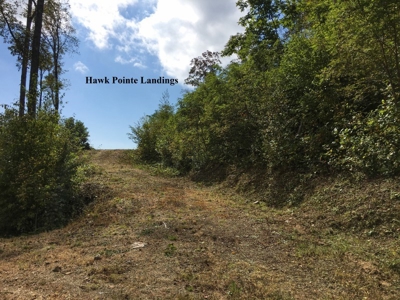 Hawke Pointe Landing - Seven Springs Auction in Fancy Gap VA - image 7
