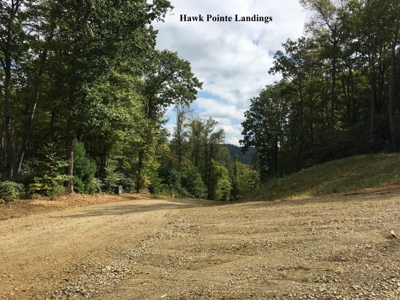 Hawke Pointe Landing - Seven Springs Auction in Fancy Gap VA - image 4