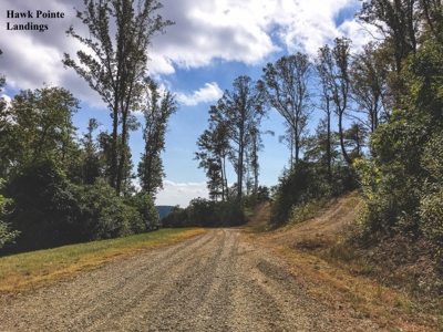 Hawke Pointe Landing - Seven Springs Auction in Fancy Gap VA - image 5