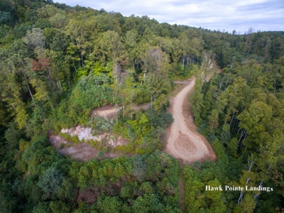 Hawke Pointe Landing - Seven Springs Auction in Fancy Gap VA - image 2