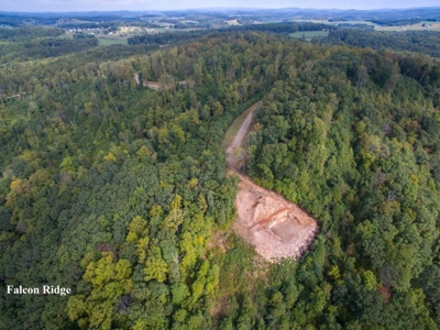 Falcon Ridge - Seven Springs Development Auction of 14.82 Ac - image 2