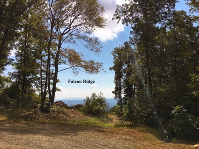 Falcon Ridge - Seven Springs Development Auction of 14.82 Ac - image 1