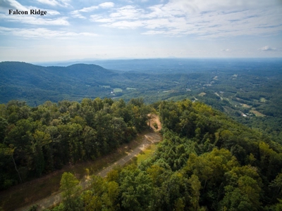 Falcon Ridge - Seven Springs Development Auction of 14.82 Ac - image 4