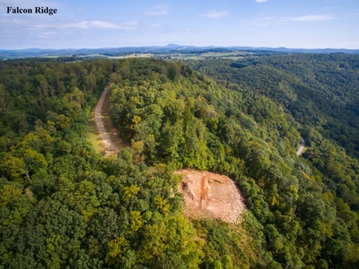Falcon Ridge - Seven Springs Development Auction of 14.82 Ac - image 3