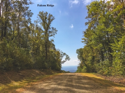 Falcon Ridge - Seven Springs Development Auction of 14.82 Ac - image 6