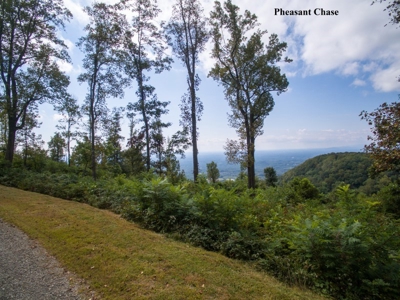 Pheasant Chase - 56.282 Acres in Seven Springs Development! - image 14