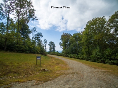 Pheasant Chase - 56.282 Acres in Seven Springs Development! - image 13