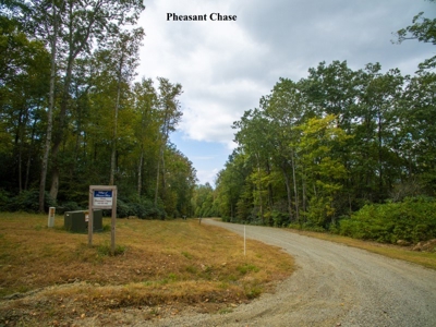 Pheasant Chase - 56.282 Acres in Seven Springs Development! - image 12