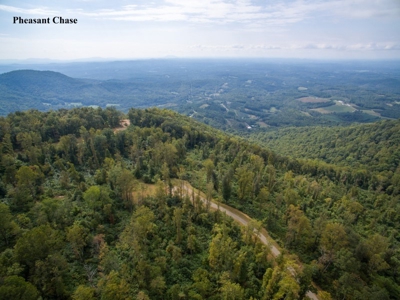 Pheasant Chase - 56.282 Acres in Seven Springs Development! - image 4