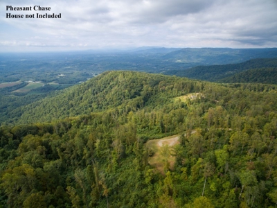 Pheasant Chase - 56.282 Acres in Seven Springs Development! - image 3