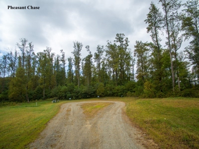 Pheasant Chase - 56.282 Acres in Seven Springs Development! - image 9