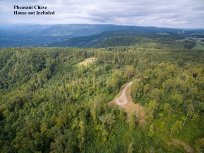 Pheasant Chase - 56.282 Acres in Seven Springs Development! - image 1