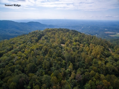 Sunset Ridge - 52.643 Acres for Auction in VA Development! - image 1