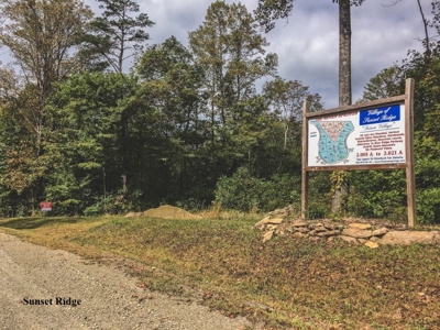 Sunset Ridge - 52.643 Acres for Auction in VA Development! - image 5