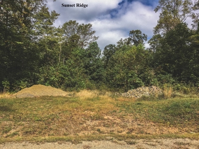 Sunset Ridge - 52.643 Acres for Auction in VA Development! - image 4