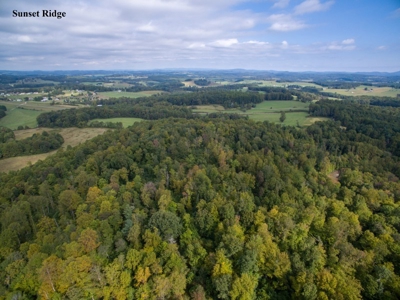 Sunset Ridge - 52.643 Acres for Auction in VA Development! - image 2
