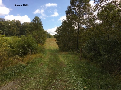 Raven Hills - Seven Springs Development Auction of 45 Acres! - image 11