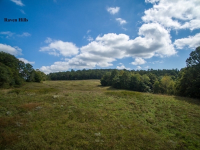 Raven Hills - Seven Springs Development Auction of 45 Acres! - image 8