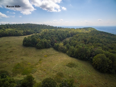 Raven Hills - Seven Springs Development Auction of 45 Acres! - image 6