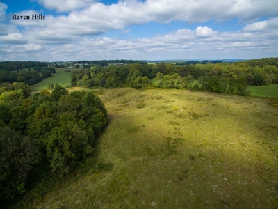 Raven Hills - Seven Springs Development Auction of 45 Acres! - image 9