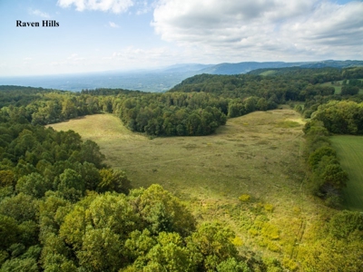 Raven Hills - Seven Springs Development Auction of 45 Acres! - image 7