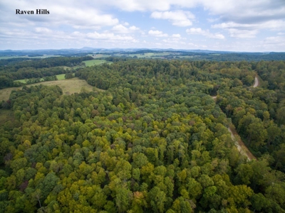 Raven Hills - Seven Springs Development Auction of 45 Acres! - image 3