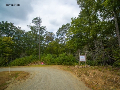 Raven Hills - Seven Springs Development Auction of 45 Acres! - image 4