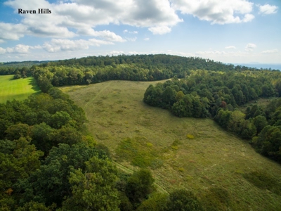 Raven Hills - Seven Springs Development Auction of 45 Acres! - image 5