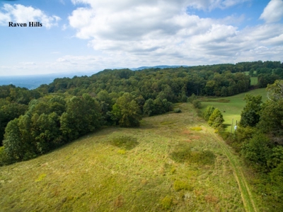 Raven Hills - Seven Springs Development Auction of 45 Acres! - image 10