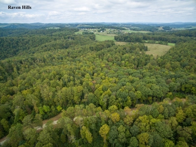 Raven Hills - Seven Springs Development Auction of 45 Acres! - image 2